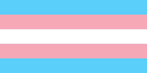 transgender solidarity flag